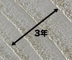 年輪の見方