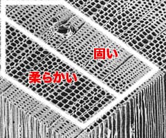 紙やすりのかけ方3